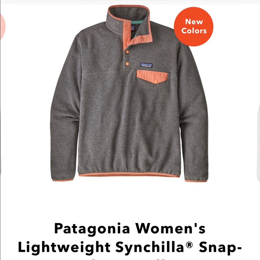 Patagonia Synchilla Pullover